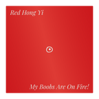Collectable Handkerchief - My Boobs Are On Fire!